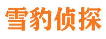 北塘市私家侦探